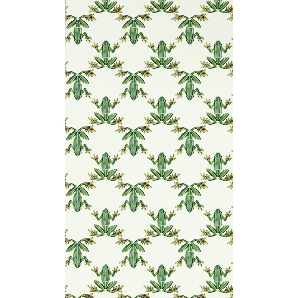 Wood Frog Wallpaper 113011 by Harlequin in Forest Chalk White